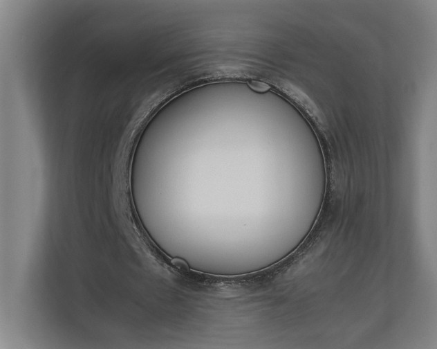 X0000111140481200907071052