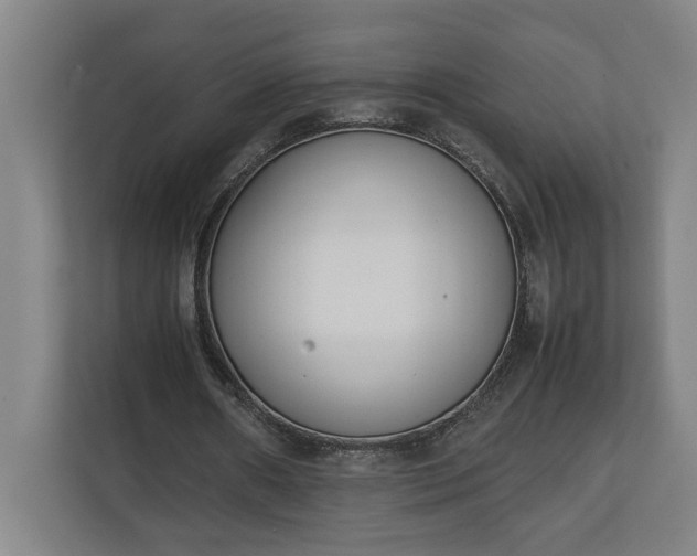 X0000111140482200907071052