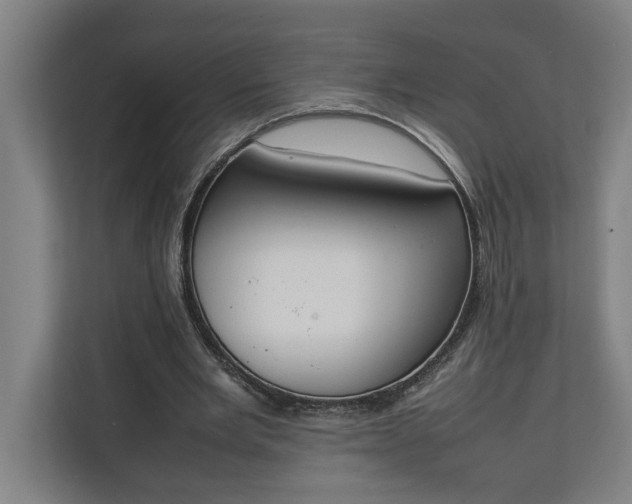 X0000111140485200907071052