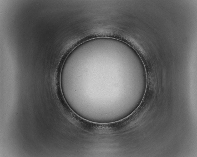 X0000111140487200907071052