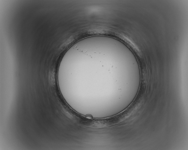 X0000111140489200907071052