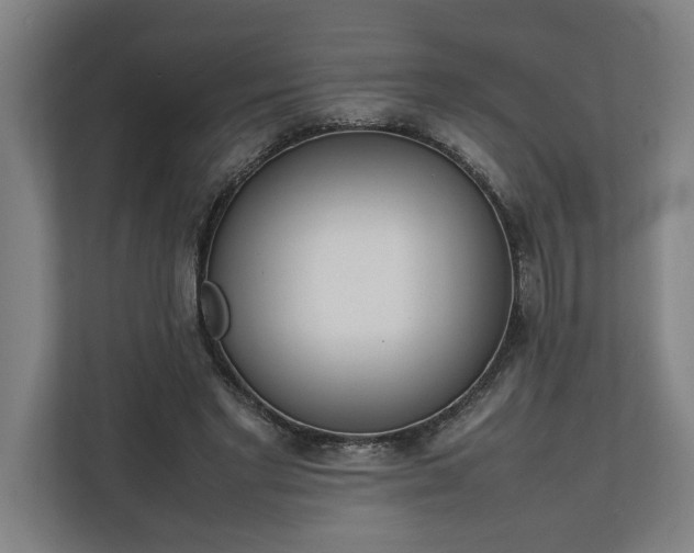 X0000111140493200907071052