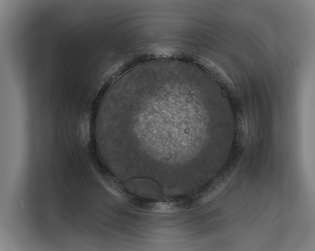 X0000111140496200907071052