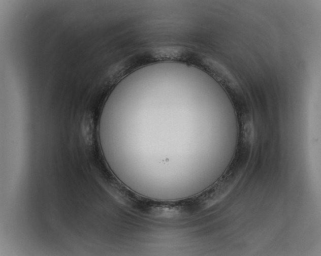 X0000111140498200907071052