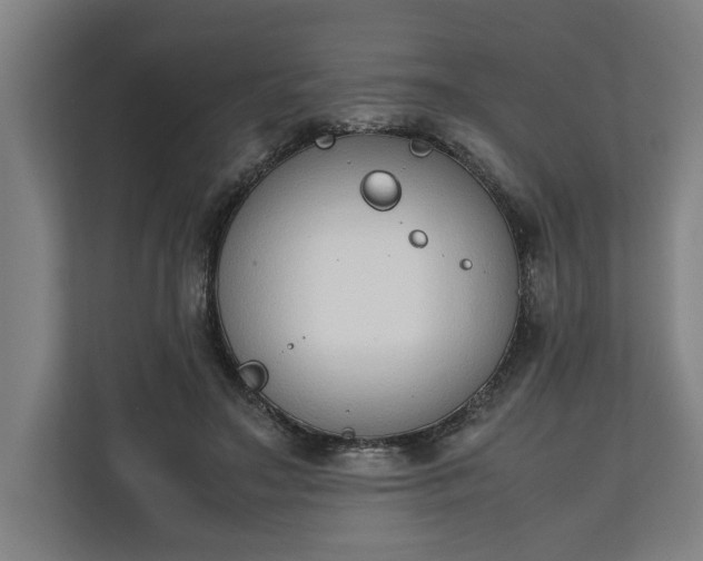 X0000111140499200907071052