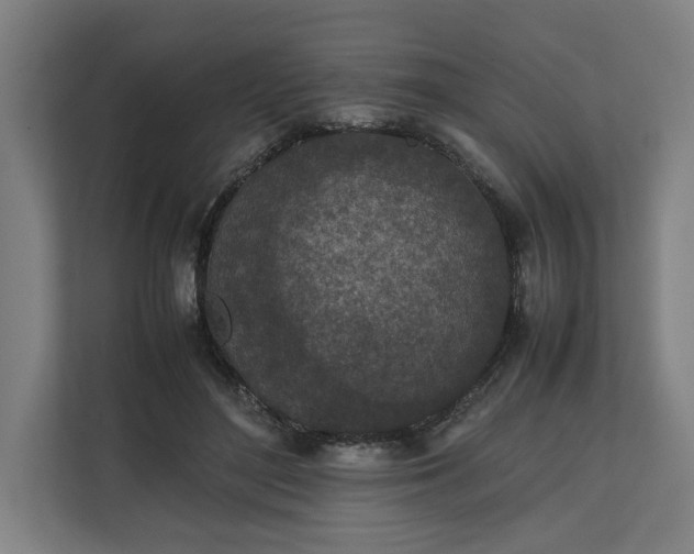 X0000111140500200907071052