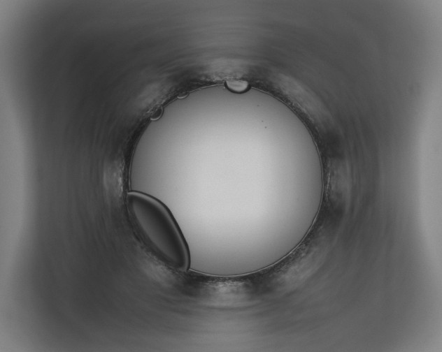 X0000111140501200907071052