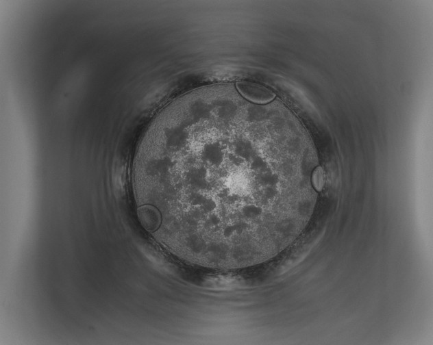 X0000111140503200907071051