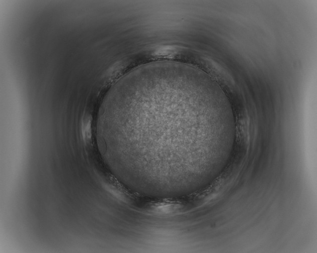 X0000111140504200907071051