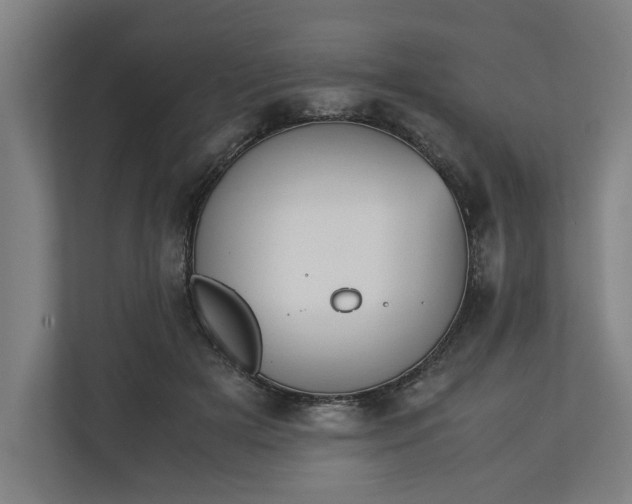 X0000111140505200907071051