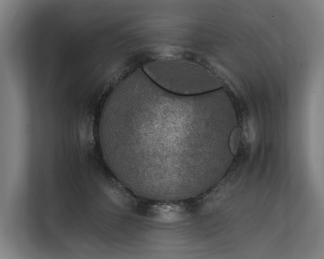 X0000111140512200907071051