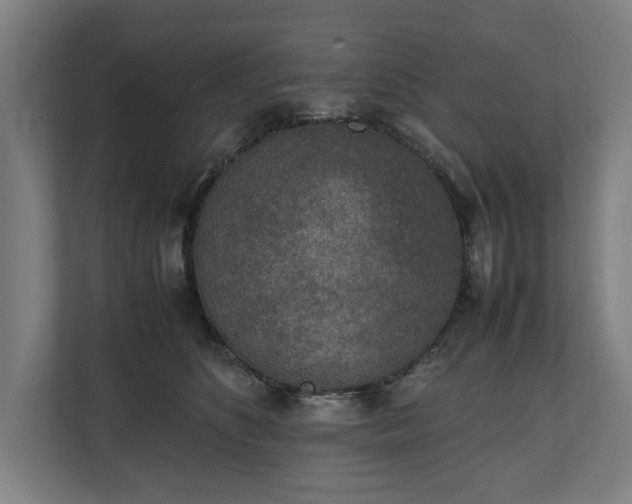 X0000111140516200907071051