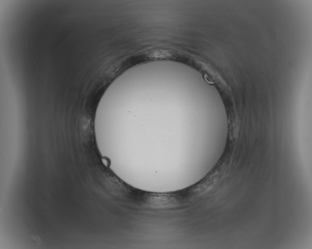 X0000111140521200907071051