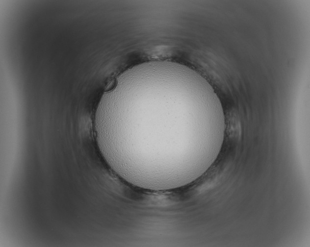 X0000111140523200907071051