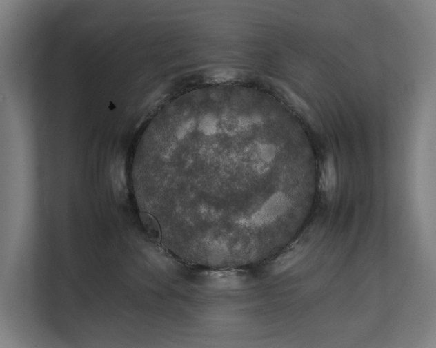 X0000111140524200907071051