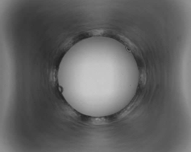 X0000111140525200907071051