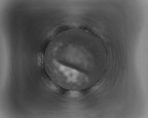 X0000111140528200907071051