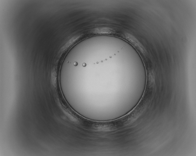 X0000111140533200907071051