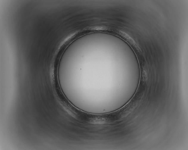 X0000111140535200907071051