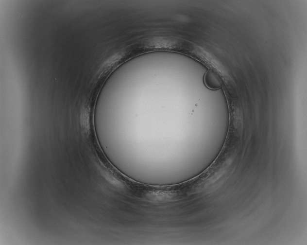 X0000111140537200907071051