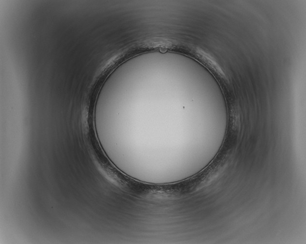 X0000111140538200907071051