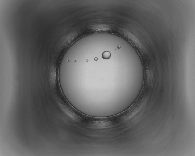 X0000111140541200907071051