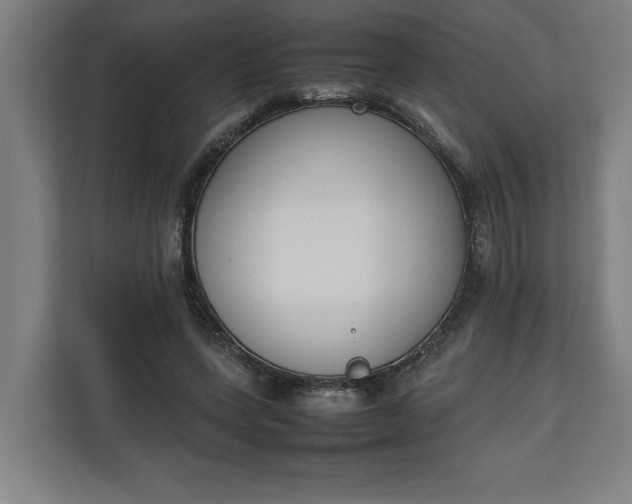 X0000111140543200907071051