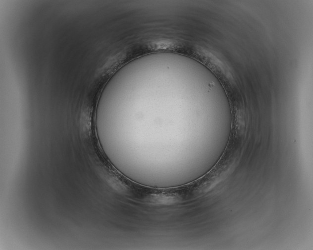 X0000111140545200907071051