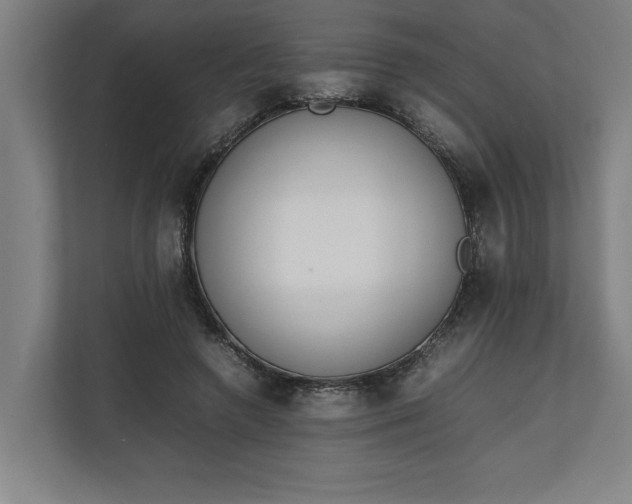 X0000111140546200907071051