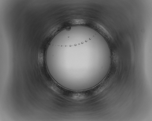 X0000111140549200907071051