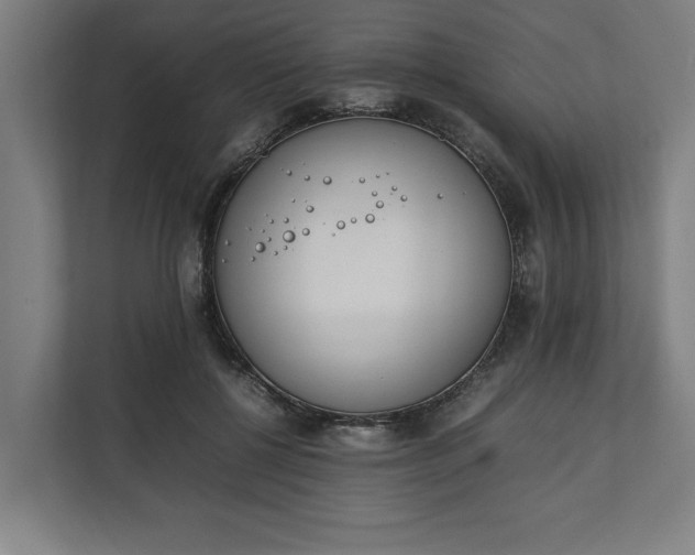 X0000111140552200907071051