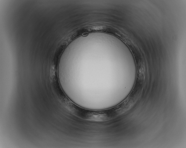 X0000111140555200907071051