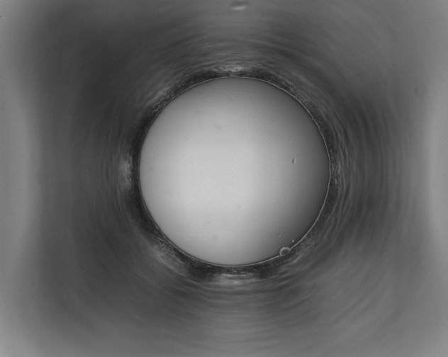 X0000111140556200907071051