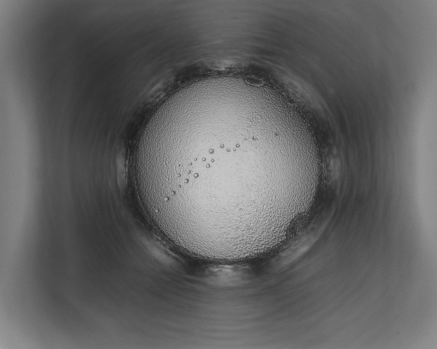 X0000111140558200907071051