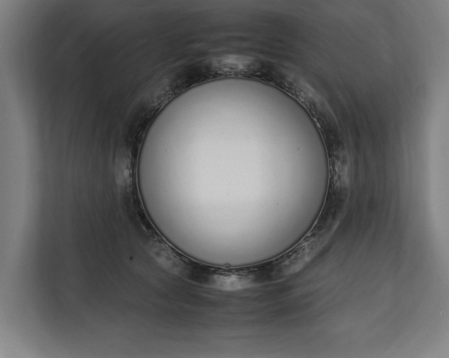 X0000111140561200907071051