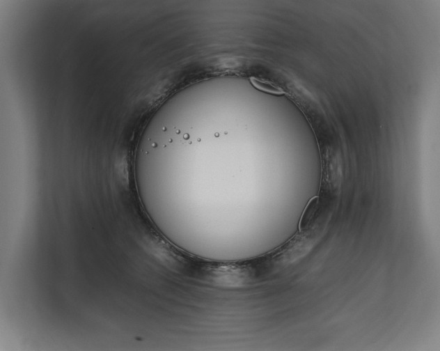 X0000111140562200907071051