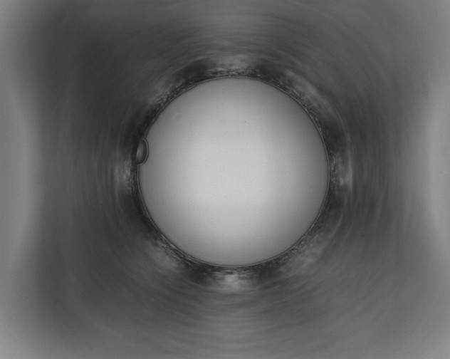 X0000111140564200907071051