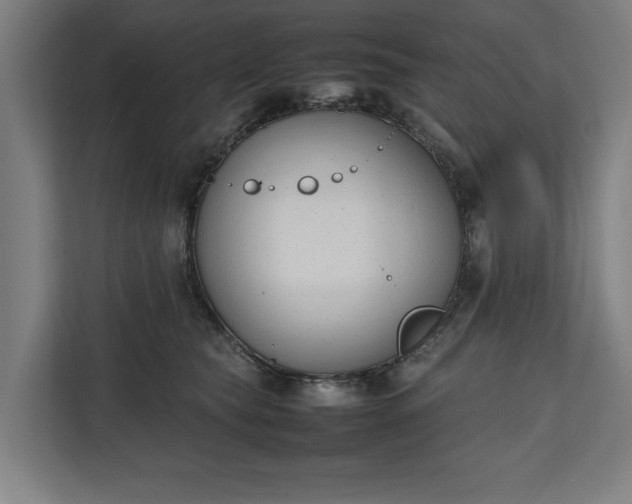 X0000111140565200907071051