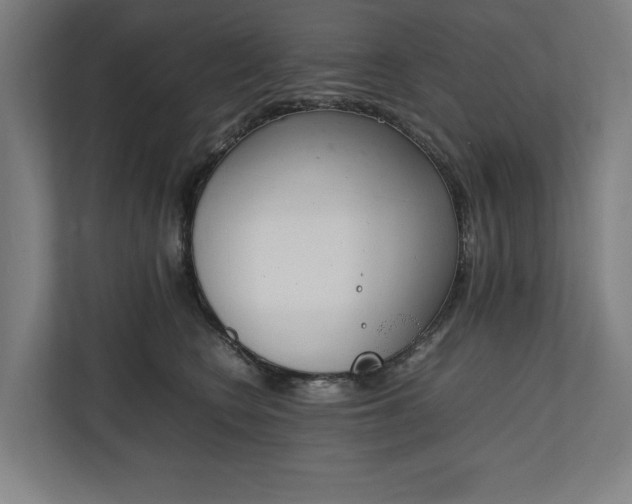 X0000111140566200907071051