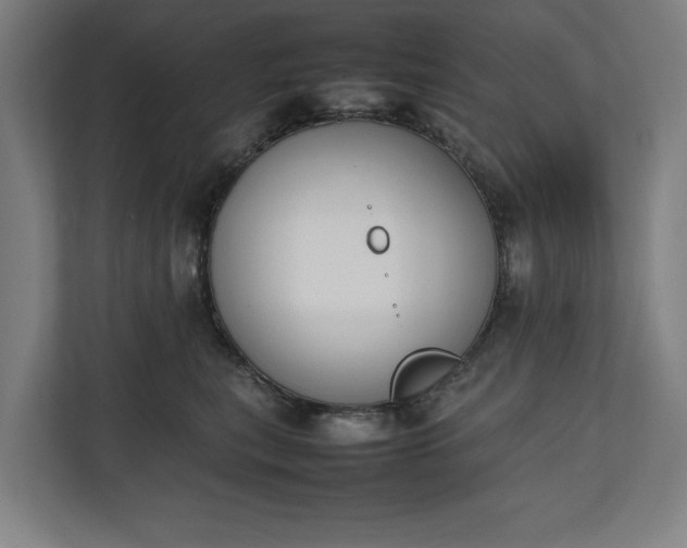 X0000111140567200907071051