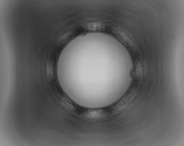 X0000111140569200907071051