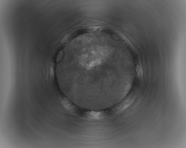 X0000111140570200907071051