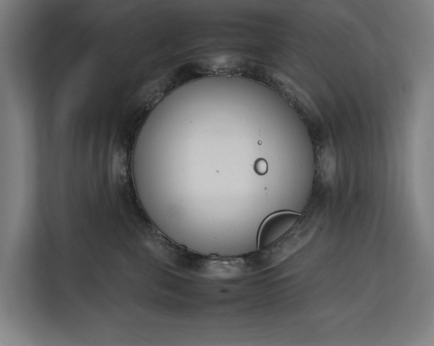 X0000111140571200907071051