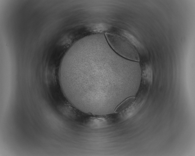 X0000111140572200907071051