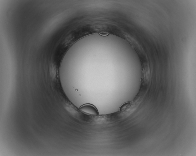 X0000111140574200907071051