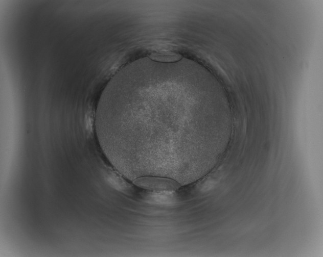 X0000111140576200907071051