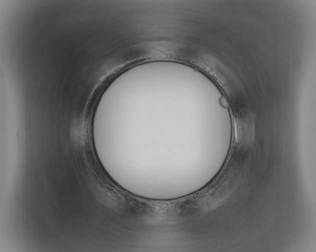 X0000111140579200907071051