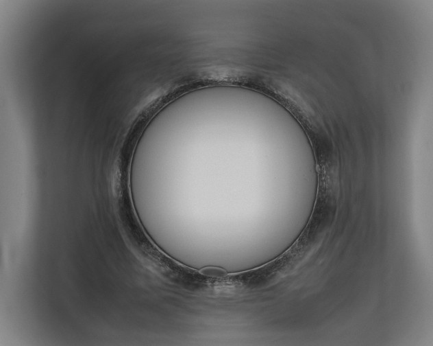 X0000111140587200907071050