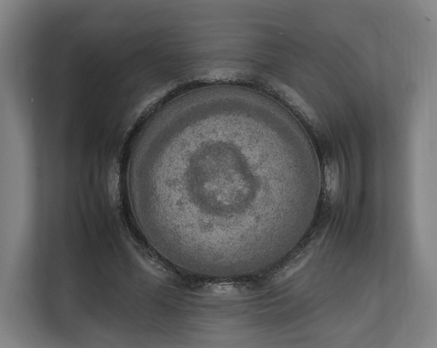 X0000111140588200907071050