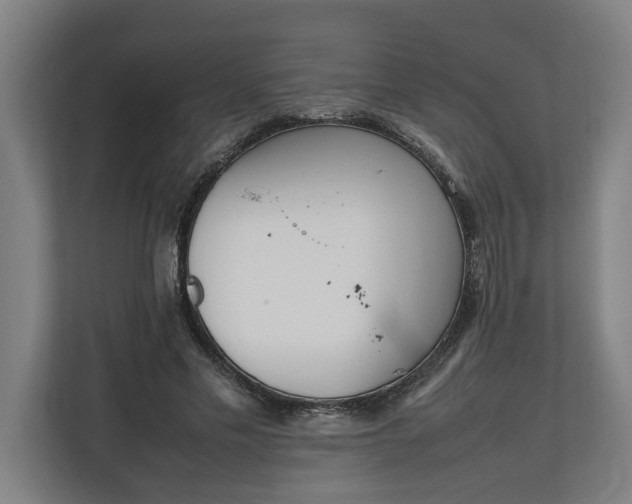 X0000111140589200907071050